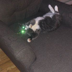 Meet your Posher, Sara